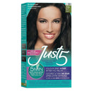 Just5 Women's 5 Minutes Permanent Hair Color