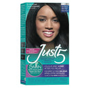 Just5 Women's 5 Minutes Permanent Hair Color